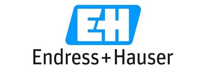 Max Wild Industrievertretungen – Vertrieb heißt Verstehen – Kunden, Endress + Hauser Max Wild Industrievertretungen – Vertrieb heißt Verstehen – Kunden, Endress + Hauser